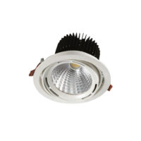 DOWNLIGHT LED 50W 4200K WHT WIRED MAN320/390