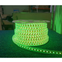 ROPELIGHT LED 13.2W 18MM 120LT RGB WD302