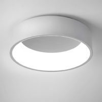 CEILING FITTING LED 24W 450MM CCT WHITEI ZCL315/24W/MULTI