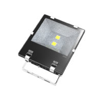 FLOODLIGHT LED 100W DALI DIMM 50000H 4000K ZLT301/D ZLT301/D