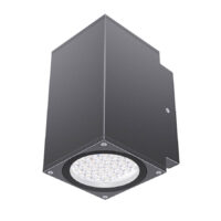 WALL LIGHT LED 20W WITH EMERGENCY BACK UP 3CCT AGL401