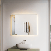 WZL1007 Mirror light