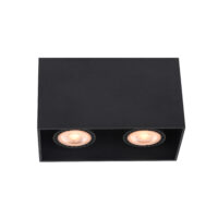 SURFACE DOWNLIGHT, 2X10W GU10, ALUMINIUM, BLACK - MTI310/04