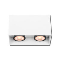 SURFACE DOWNLIGHT, 2X10W GU10, ALUMINIUM, WHITE - MTI310/25