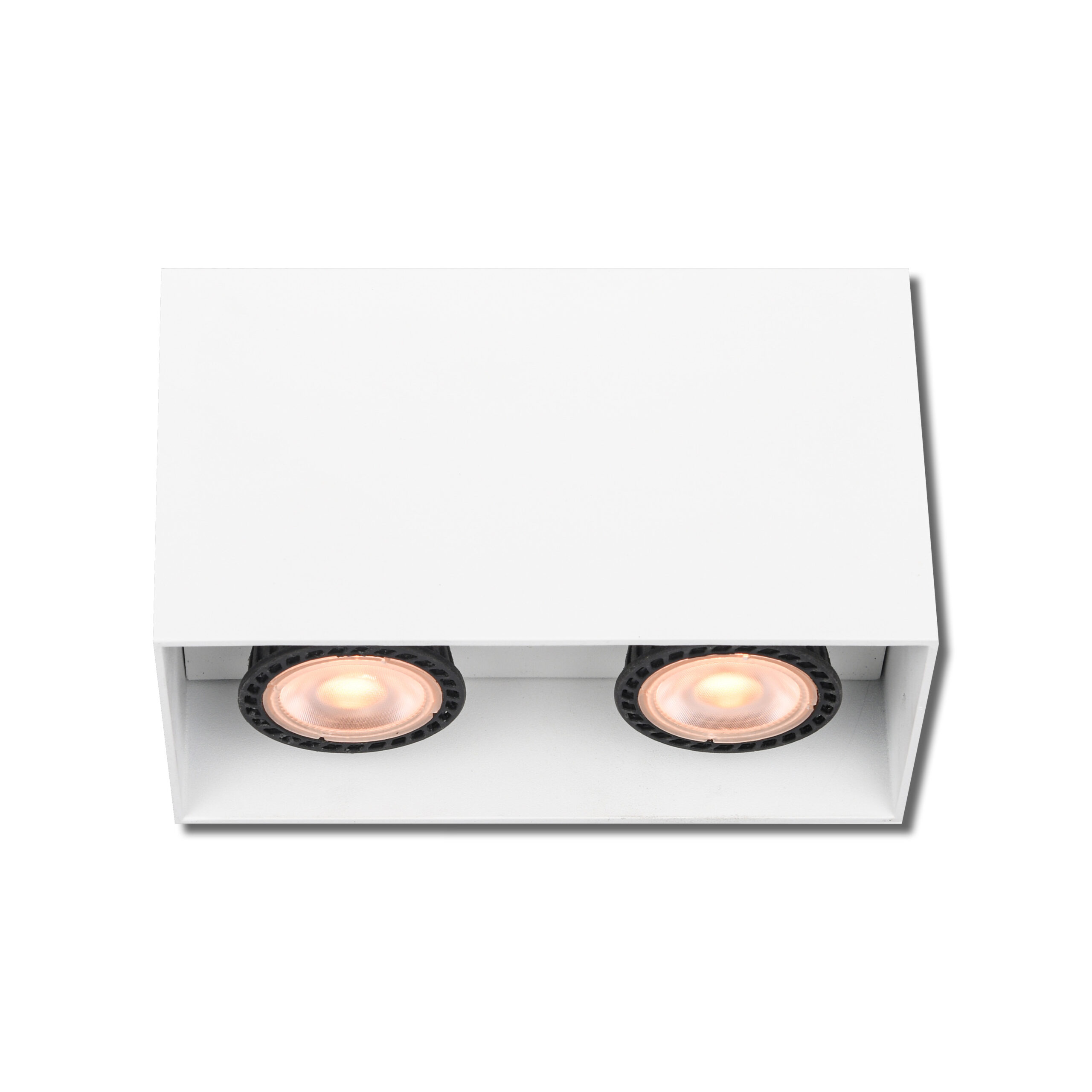 SURFACE DOWNLIGHT, 2X10W GU10, ALUMINIUM, WHITE - MTI310/25